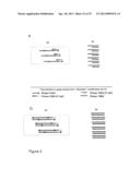 DETECTION OF QUANTITATIVE GENETIC DIFFERENCES diagram and image