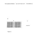 DETECTION OF QUANTITATIVE GENETIC DIFFERENCES diagram and image