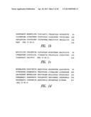 NOVEL GROUP B STREPTOCOCCUS ANTIGENS diagram and image