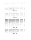 NOVEL GROUP B STREPTOCOCCUS ANTIGENS diagram and image