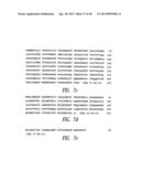 NOVEL GROUP B STREPTOCOCCUS ANTIGENS diagram and image