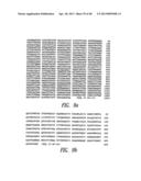 NOVEL GROUP B STREPTOCOCCUS ANTIGENS diagram and image