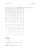 NOVEL GROUP B STREPTOCOCCUS ANTIGENS diagram and image