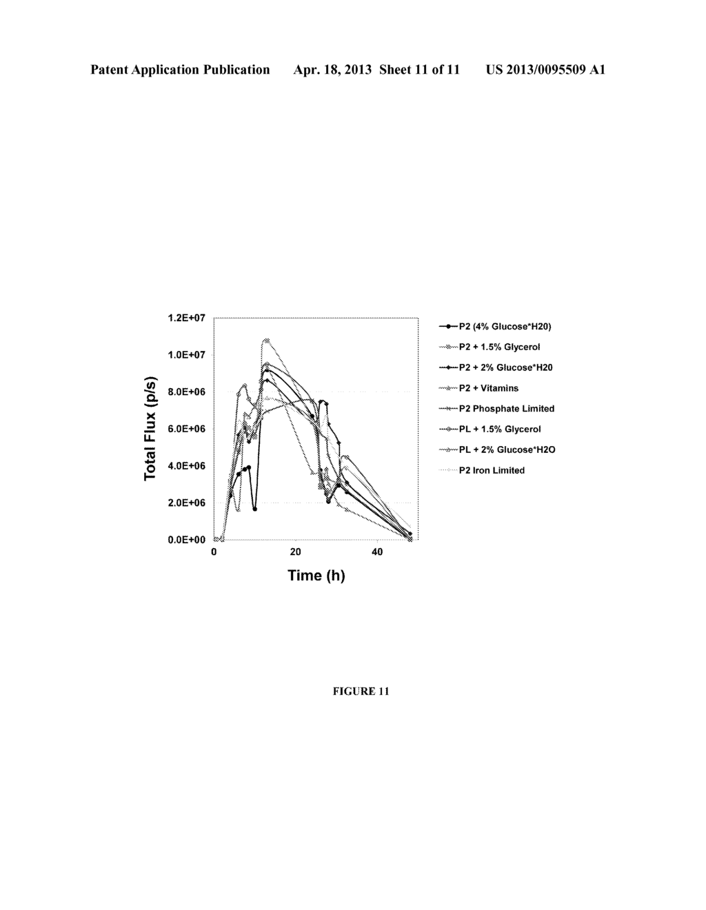 ENGINEERED LIGHT-EMITTING REPORTER GENES - diagram, schematic, and image 12