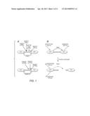 Resonance Energy Transfer Assay with Cleavage Sequence and Spacer diagram and image