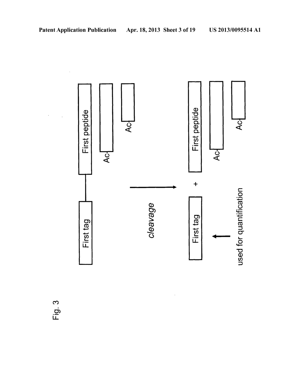 Method for Determining the Concentration of a Peptide - diagram, schematic, and image 04