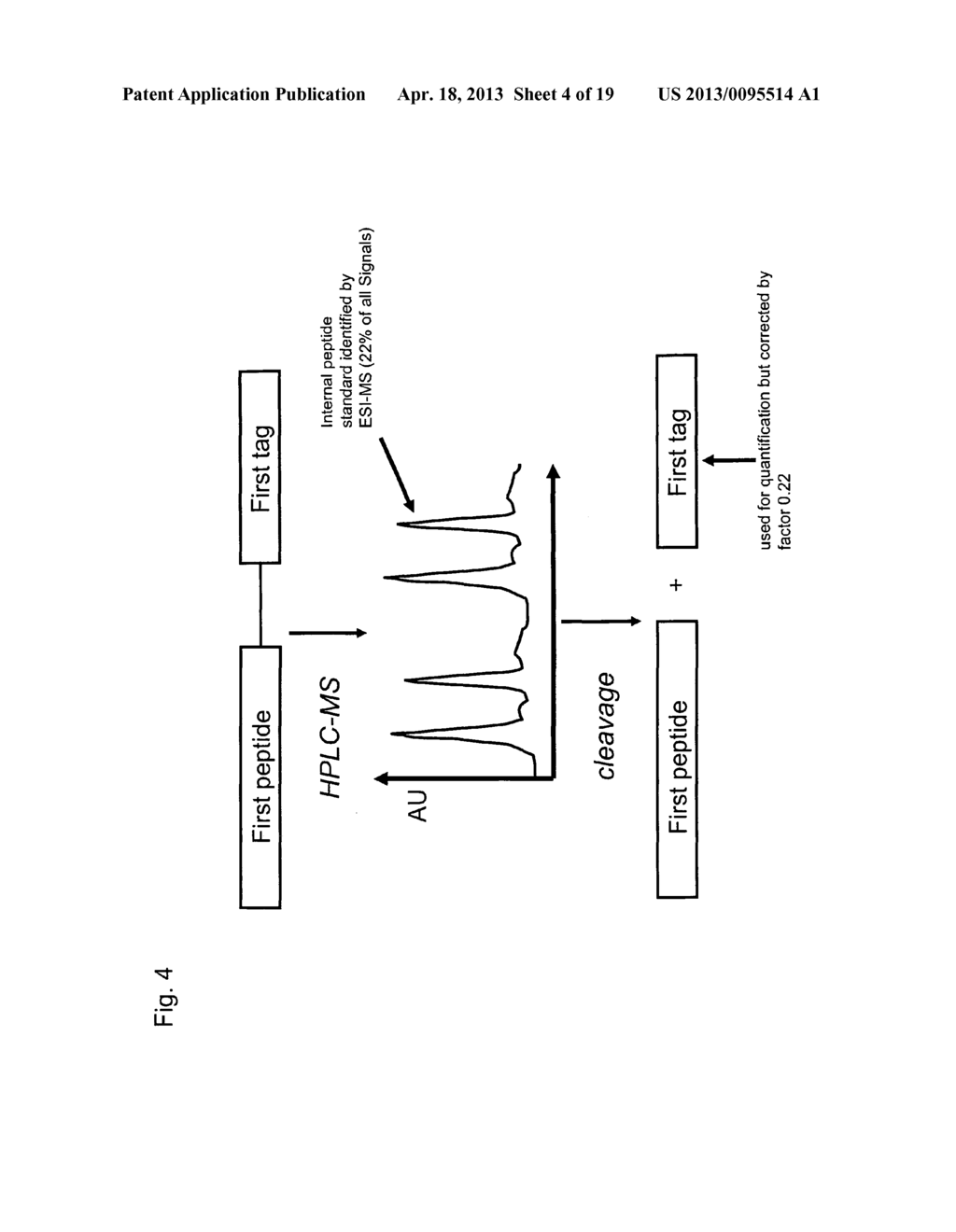 Method for Determining the Concentration of a Peptide - diagram, schematic, and image 05