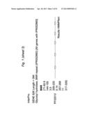 BIFIDOBACTERIAL GENE SEQUENCES AND THEIR USE diagram and image