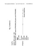 BIFIDOBACTERIAL GENE SEQUENCES AND THEIR USE diagram and image