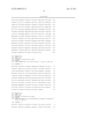 BIFIDOBACTERIAL GENE SEQUENCES AND THEIR USE diagram and image