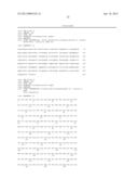 BIFIDOBACTERIAL GENE SEQUENCES AND THEIR USE diagram and image