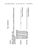 BIFIDOBACTERIAL GENE SEQUENCES AND THEIR USE diagram and image