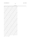 BIFIDOBACTERIAL GENE SEQUENCES AND THEIR USE diagram and image