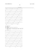 BIFIDOBACTERIAL GENE SEQUENCES AND THEIR USE diagram and image