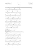 BIFIDOBACTERIAL GENE SEQUENCES AND THEIR USE diagram and image