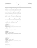 BIFIDOBACTERIAL GENE SEQUENCES AND THEIR USE diagram and image