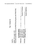 BIFIDOBACTERIAL GENE SEQUENCES AND THEIR USE diagram and image