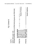 BIFIDOBACTERIAL GENE SEQUENCES AND THEIR USE diagram and image