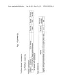 BIFIDOBACTERIAL GENE SEQUENCES AND THEIR USE diagram and image