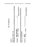 BIFIDOBACTERIAL GENE SEQUENCES AND THEIR USE diagram and image