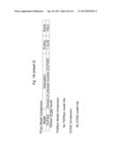 BIFIDOBACTERIAL GENE SEQUENCES AND THEIR USE diagram and image