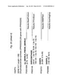 BIFIDOBACTERIAL GENE SEQUENCES AND THEIR USE diagram and image