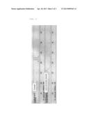 POLYLACTIC ACID DECOMPOSITION METHOD diagram and image