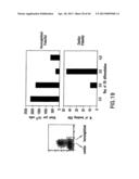 MESODERM AND DEFINITIVE ENDODERM CELL POPULATIONS diagram and image