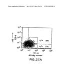 MESODERM AND DEFINITIVE ENDODERM CELL POPULATIONS diagram and image