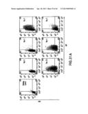 MESODERM AND DEFINITIVE ENDODERM CELL POPULATIONS diagram and image