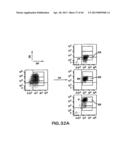 MESODERM AND DEFINITIVE ENDODERM CELL POPULATIONS diagram and image