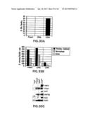 MESODERM AND DEFINITIVE ENDODERM CELL POPULATIONS diagram and image