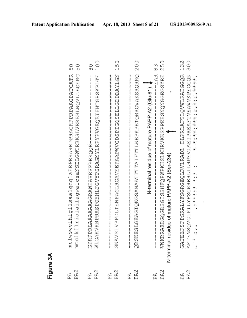 PREGNANCY-ASSOCIATED PLASMA PROTEIN-A2 (PAPP-A2) POLYNUCLEOTIDES - diagram, schematic, and image 09