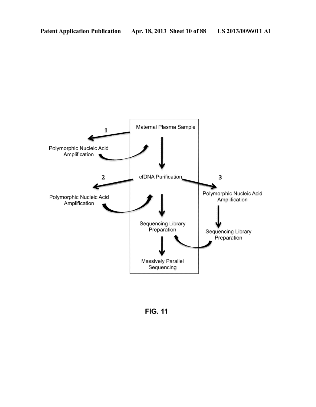 DETECTING AND CLASSIFYING COPY NUMBER VARIATION - diagram, schematic, and image 11