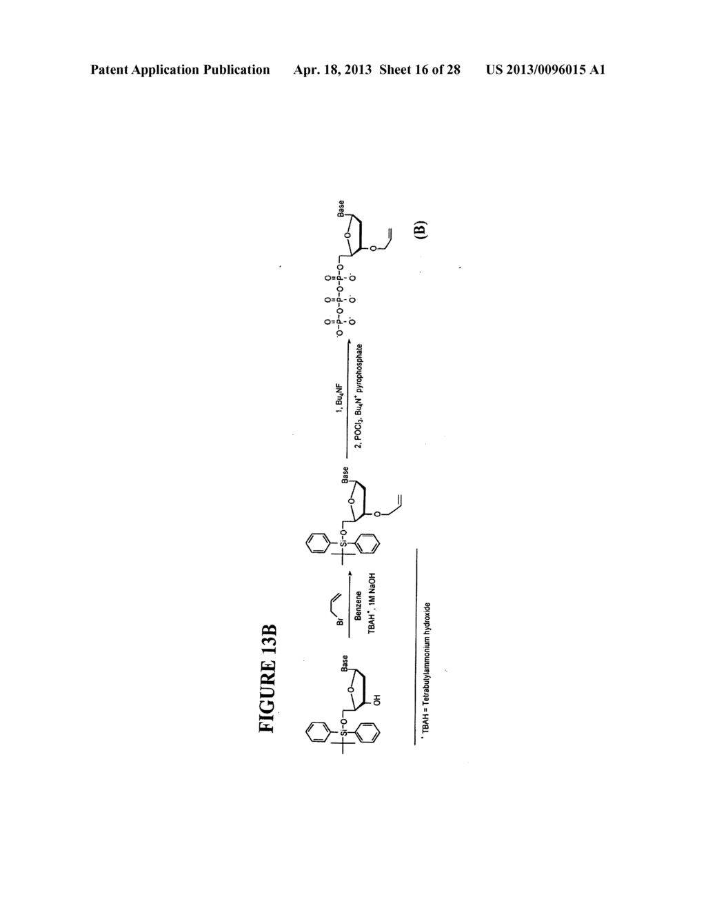 Massive Parallel Method For Decoding DNA And RNA - diagram, schematic, and image 17