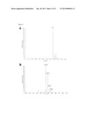 METHOD FOR DIFFERENTIALLY QUANTIFYING NATURALLY PROCESSED HLA-RESTRICTED     PEPTIDES FOR CANCER, AUTOIMMUNE AND INFECTIOUS DISEASES IMMUNOTHERAPY     DEVELOPMENT diagram and image