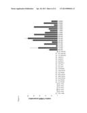 METHOD FOR DIFFERENTIALLY QUANTIFYING NATURALLY PROCESSED HLA-RESTRICTED     PEPTIDES FOR CANCER, AUTOIMMUNE AND INFECTIOUS DISEASES IMMUNOTHERAPY     DEVELOPMENT diagram and image