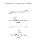 Hepcidins as Biomarkers for Impending Lupus Nephritis Flare diagram and image