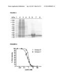 LECTINS AND USES THEREOF diagram and image