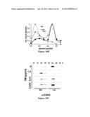 LATENT HUMAN IMMUNODEFICIENCY VIRUS REACTIVIATION diagram and image