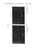 GLP-1 AGONIST FOR USE IN THE TREATMENT OF STENOSIS OR/AND OBSTRUCTION IN     THE BILIARY TRACT diagram and image