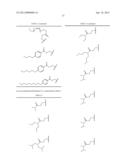 Heterocyclic Compounds for the Treatment of Neurological and Psychological     Disorders diagram and image