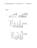 SIRT4 ACTIVITIES diagram and image