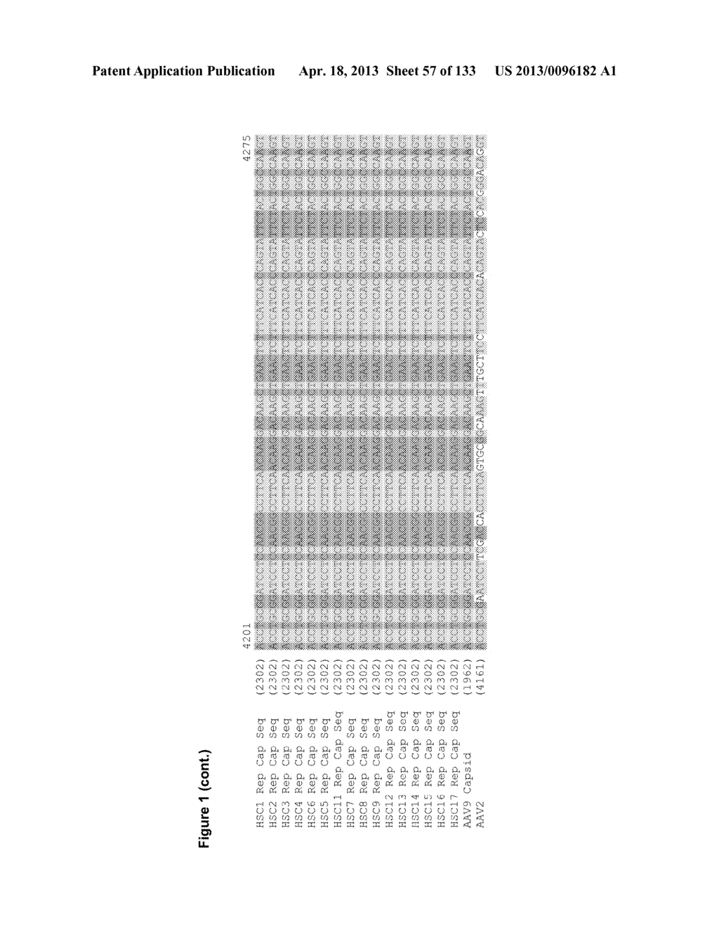 RECOMBINANT ADENO-ASSOCIATED VECTORS FOR TARGETED TREATMENT - diagram, schematic, and image 58