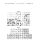 TREATMENT OF SODIUM CHANNEL, VOLTAGE-GATED, ALPHA SUBUNIT (SCNA) RELATED     DISEASES BY INHIBITION OF NATURAL ANTISENSE TRANSCRIPT TO SCNA diagram and image