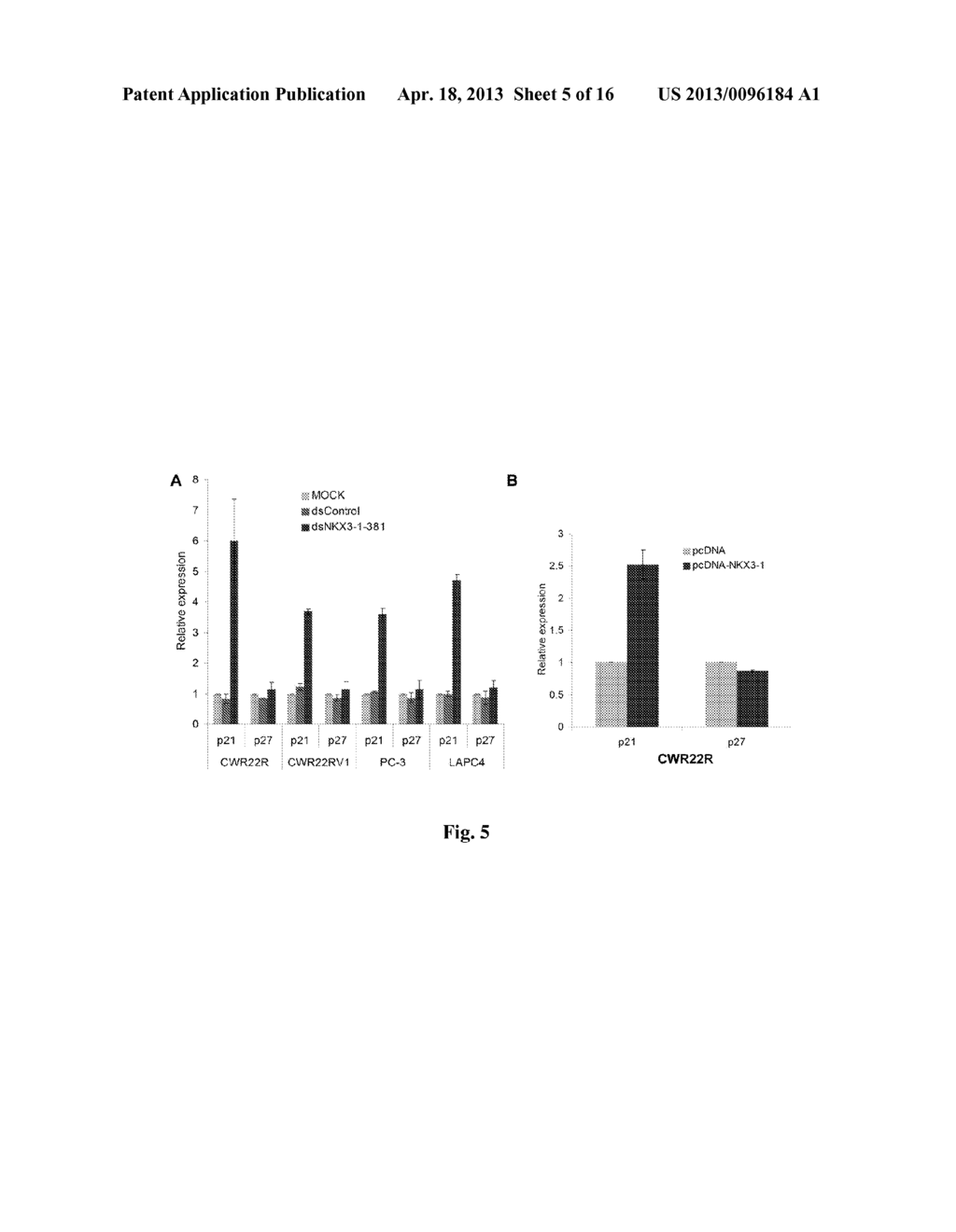 NKX3-1 SARNA AND KLF4 SARNA AND USES THEREOF - diagram, schematic, and image 06