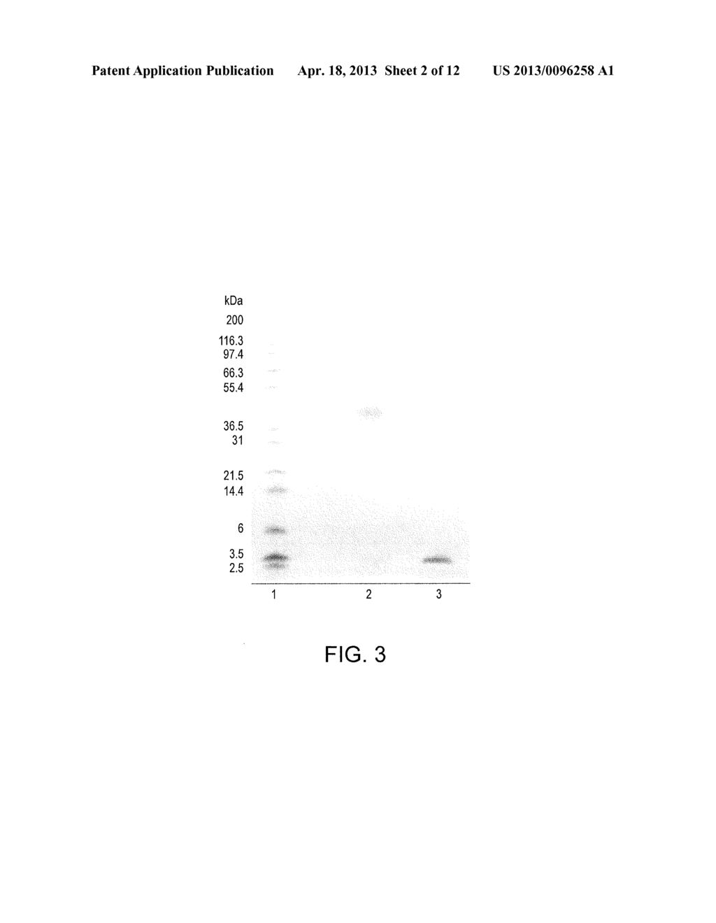 POLYMER CONJUGATES OF GLP-1 - diagram, schematic, and image 03