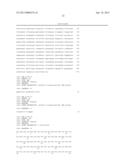 PROTEIN CAPABLE OF BINDING SPECIFICALLY TO IMMUNOGLOBULIN, AND     IMMUNOGLOBULIN-BINDING AFFINITY LIGAND diagram and image