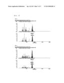 siRNA conjugate and preparation method thereof diagram and image