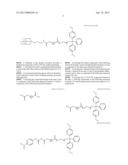 siRNA conjugate and preparation method thereof diagram and image